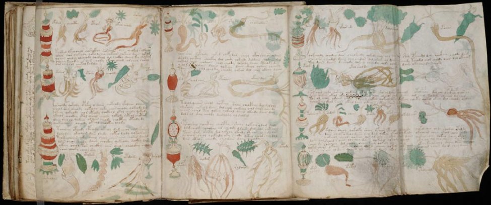 Voynich-Code.jpg