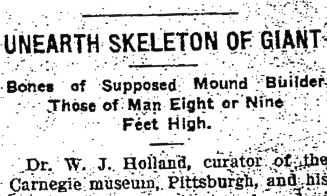 holland news.jpg