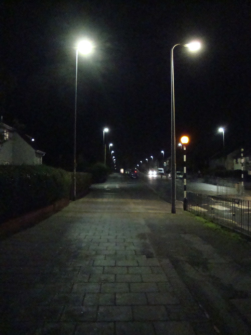 DSC06004.JPG