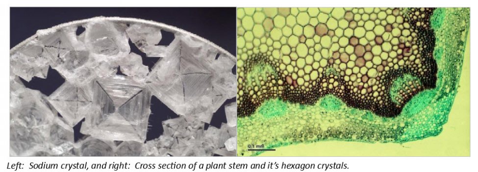 Organic vs inorganic crystal structure.jpg