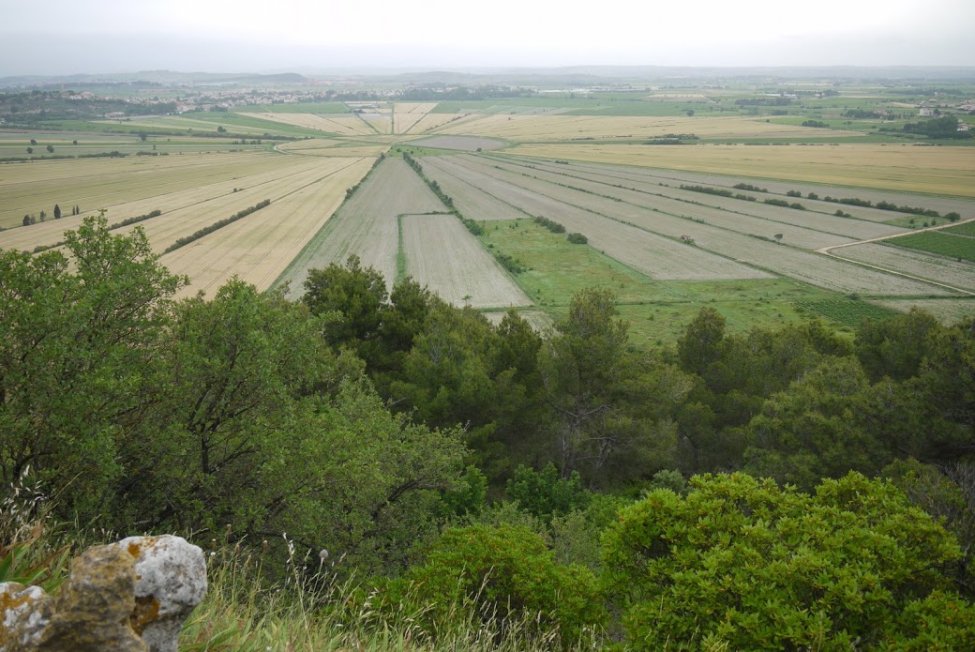 spainplain.JPG