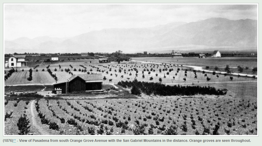 PASADENA ORANGE GROVES 1876.PNG