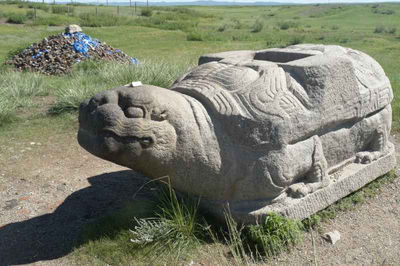 Karakorum Turtle no.jpg