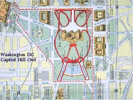 washington layout 4.jpg