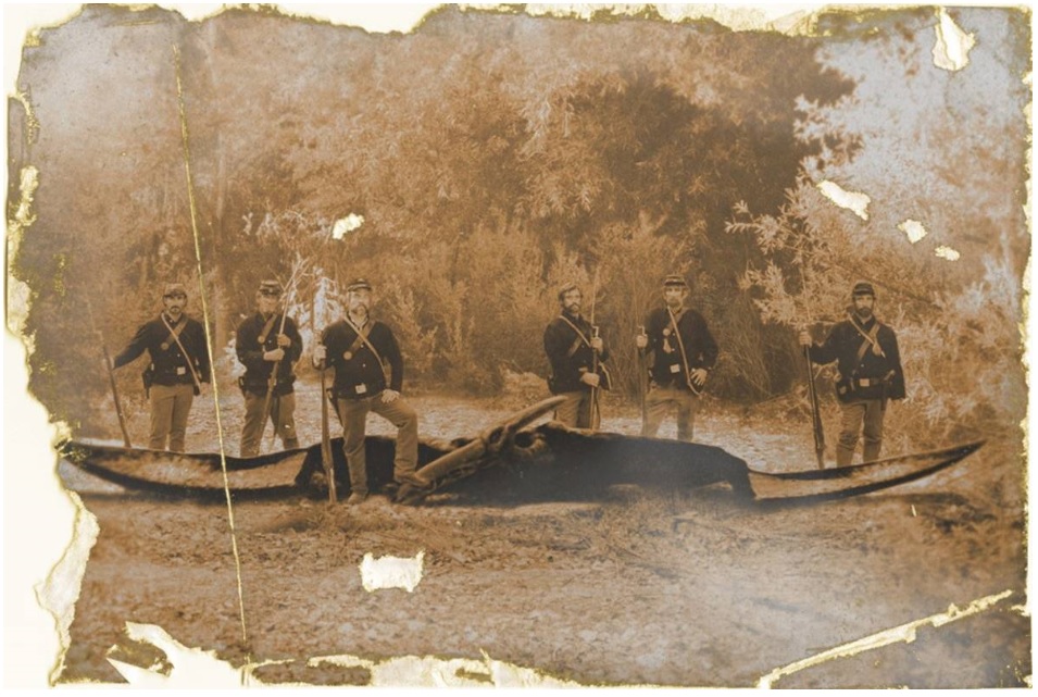 Civil-War-Pterosaur-shot-canoe-like.jpg