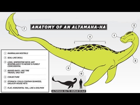 Altamaha-ha.jpg