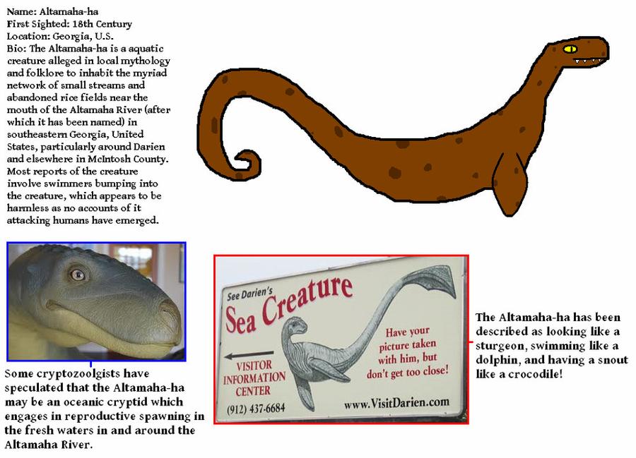 altamaha 2.jpg