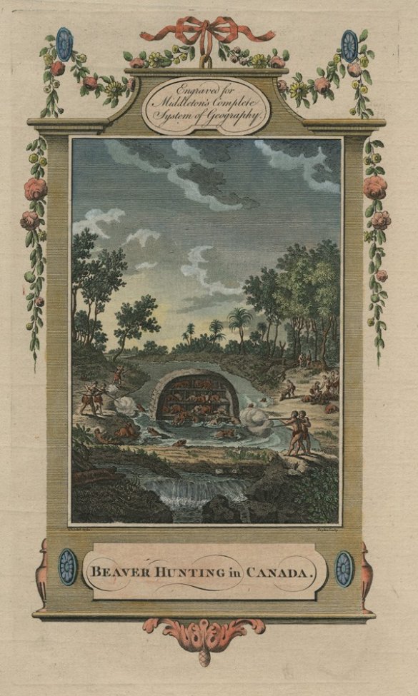 Beaver_Hunting.jpg