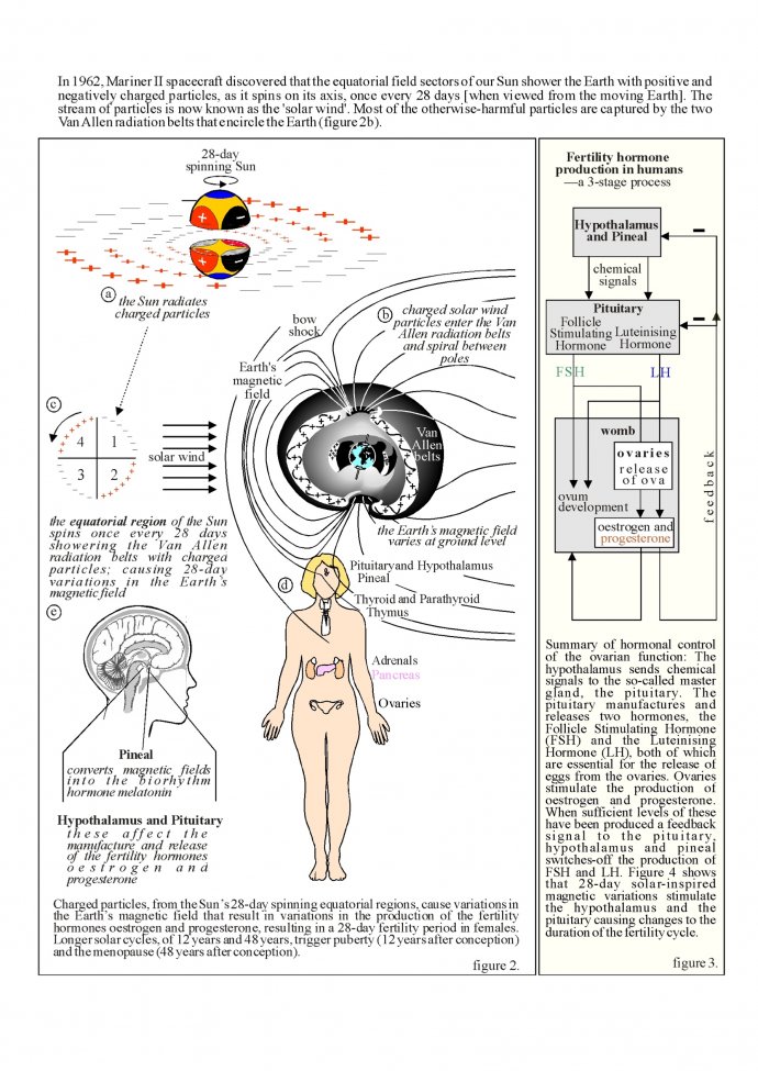 fertility(1) - 02.jpg fertility(1) - 02.jpg