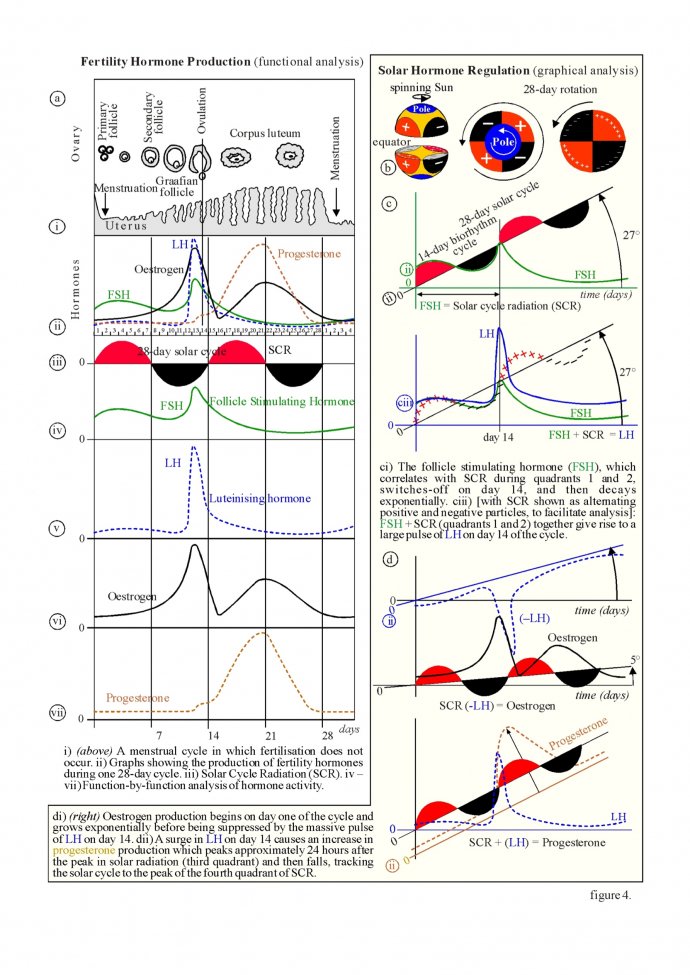 fertility(1) - 03.jpg fertility(1) - 03.jpg