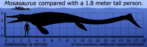 Mosasaurus.jpg