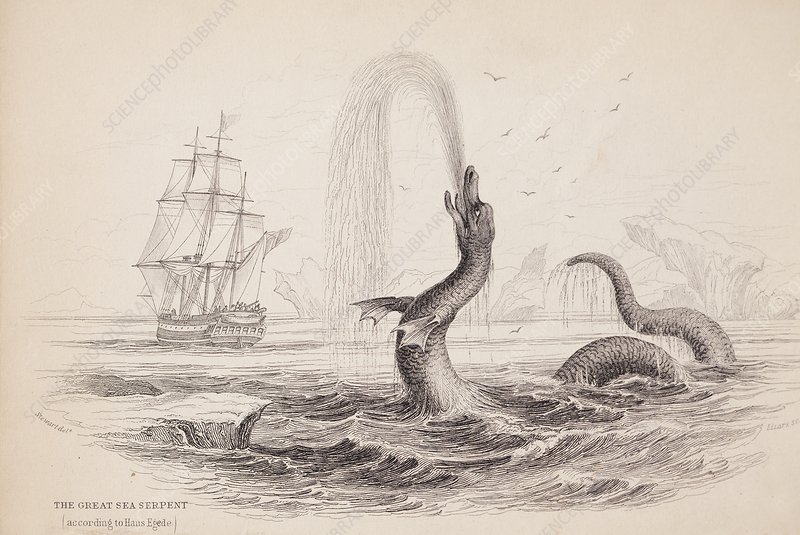 sea monster 1734.jpg