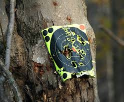 target_practice.jpg