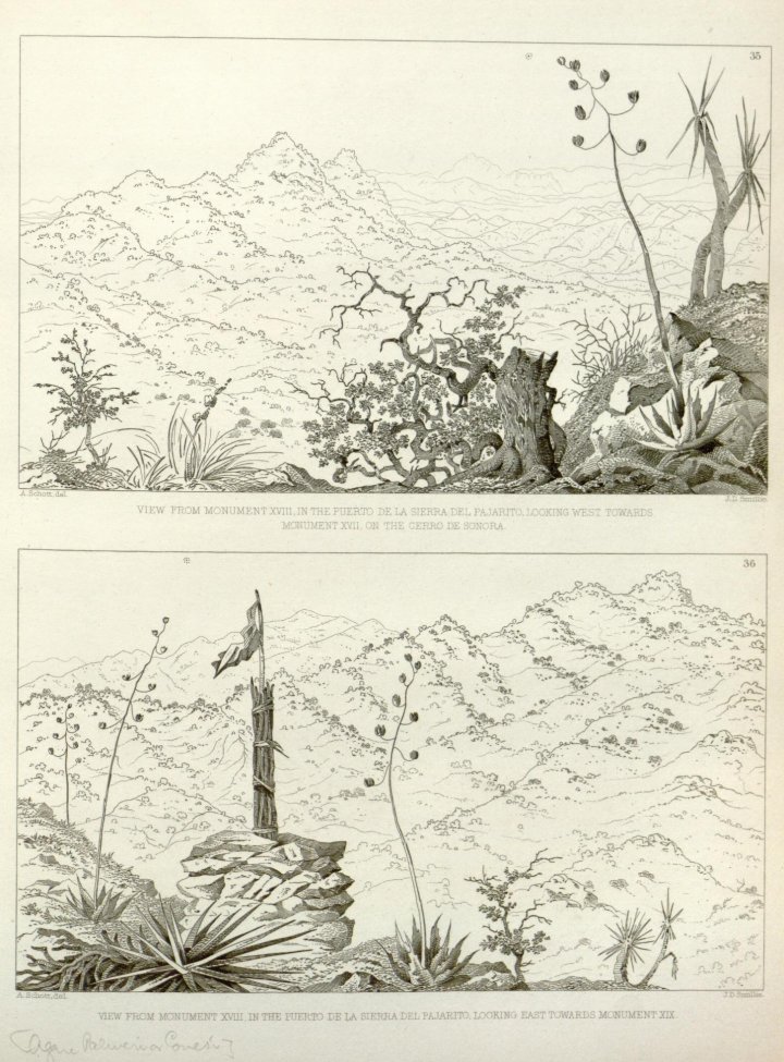 sketch 35-36.jpg