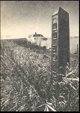 canada field.JPG