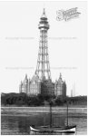 New brighton tower.JPG