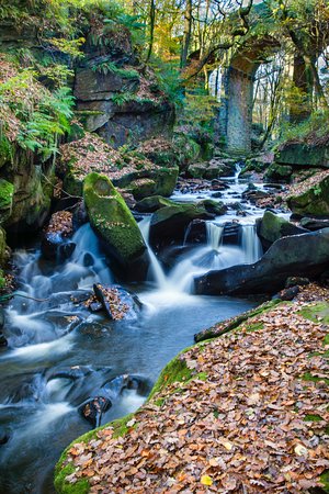 fairy-grotto.jpg